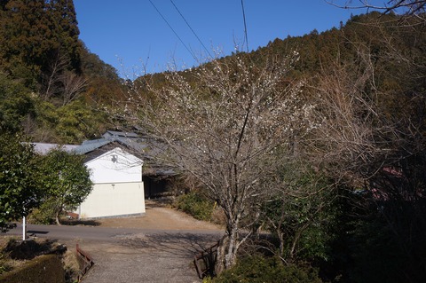 DSC00350