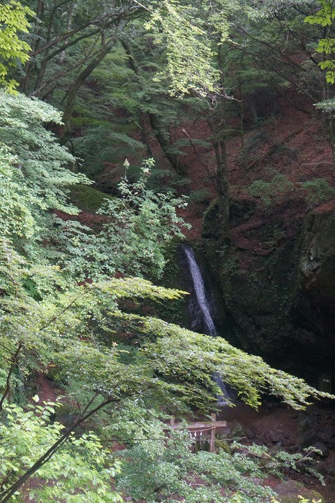 DSC02101