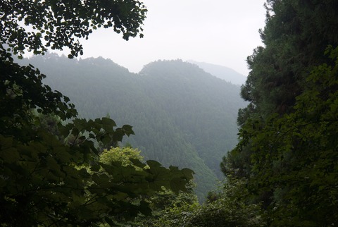 DSC07822