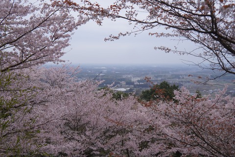 DSC00658
