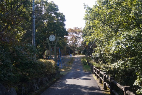 DSC08151