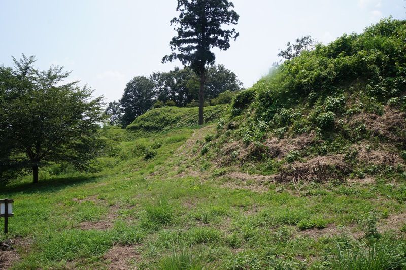イメージ 8