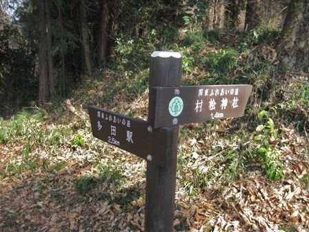 イメージ 14