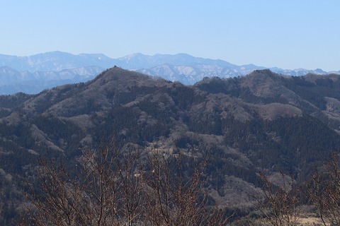 IMG_5754