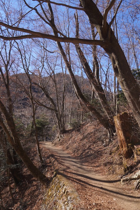 DSC09801