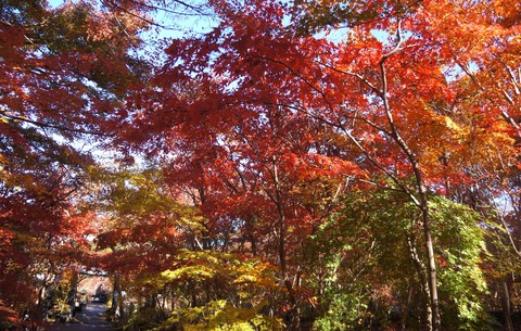 DSC05039