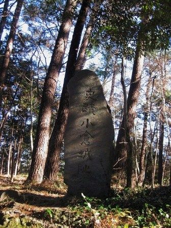 イメージ 8