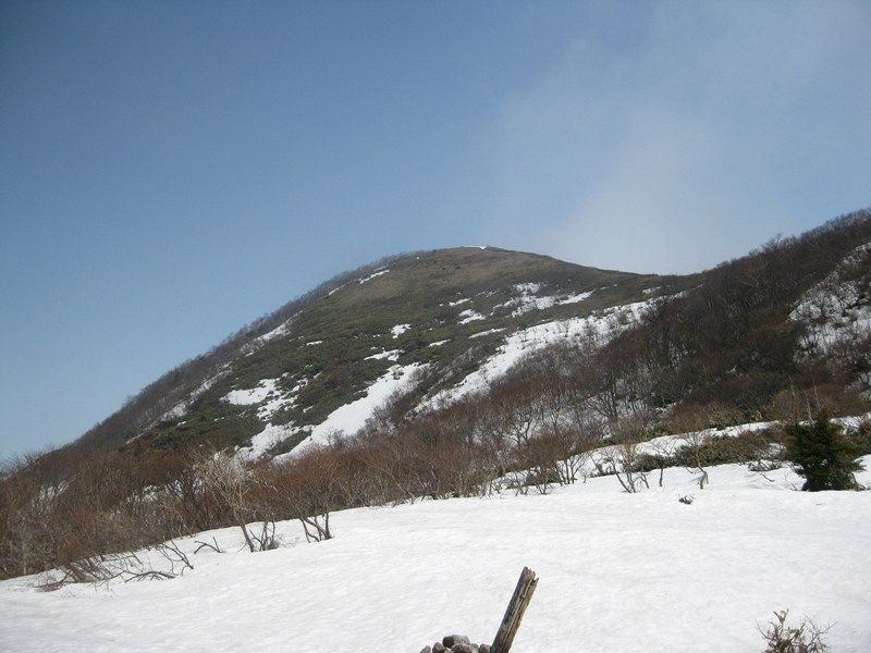 イメージ 12