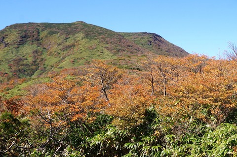 DSC08024