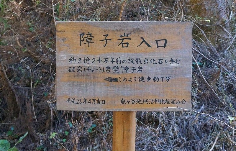 イメージ 4