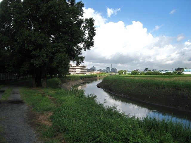 イメージ 3