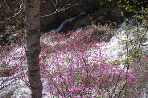 DSC01808