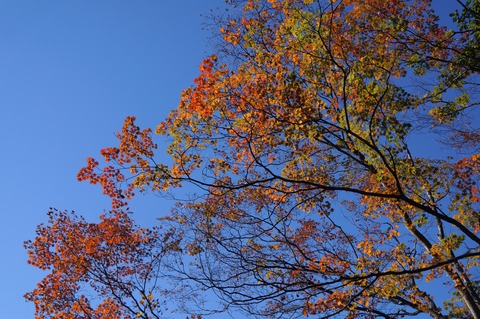 DSC08002