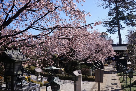 DSC00460