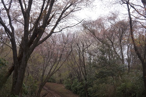 DSC00620