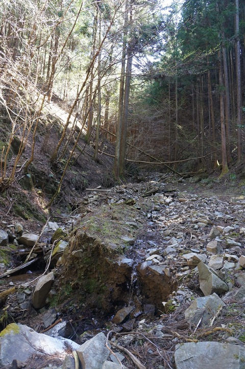 DSC06988