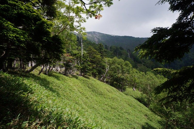 イメージ 10