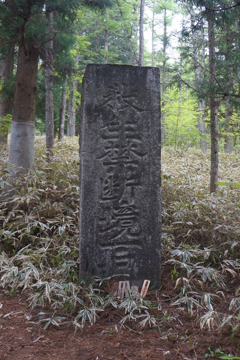 DSC01664