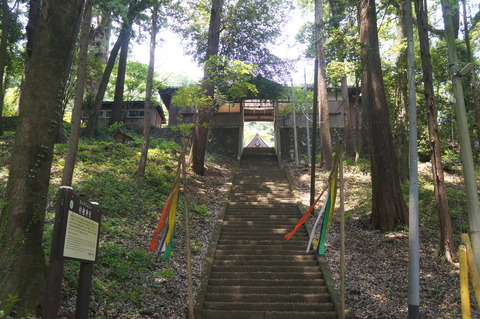 DSC07514