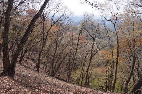 DSC00950