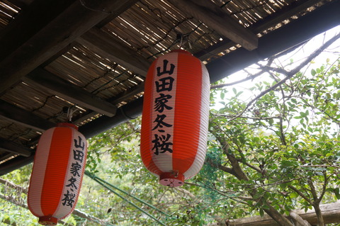 DSC08010