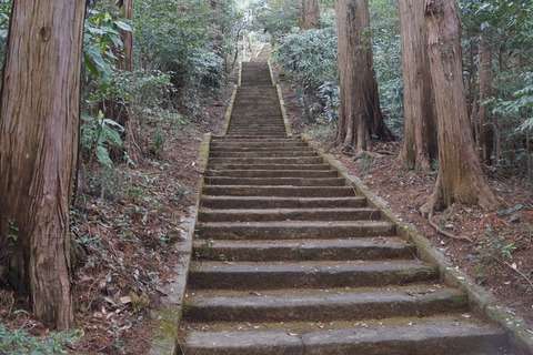 DSC00641