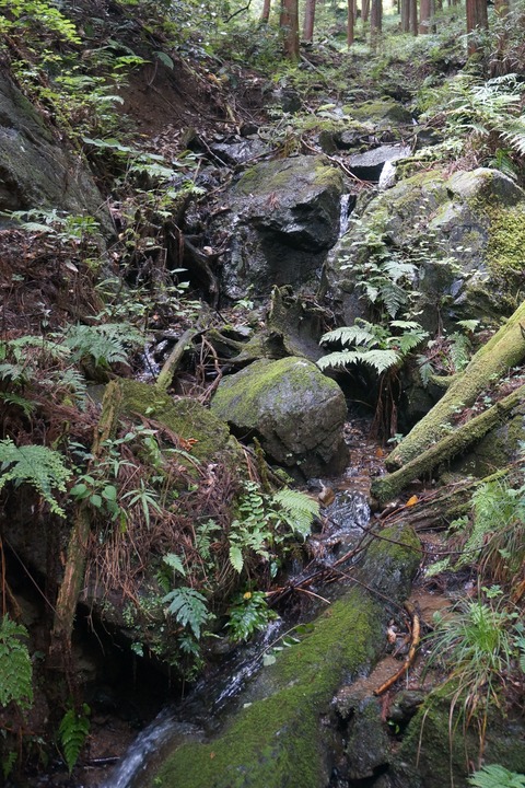 DSC02195