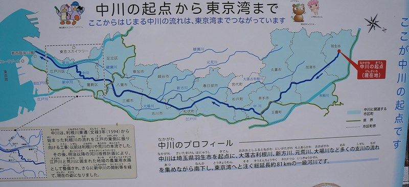 イメージ 12
