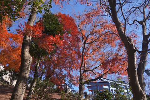 DSC09256