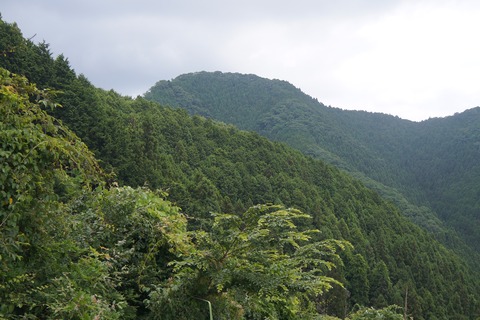 DSC02166