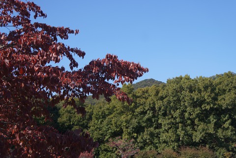DSC08170