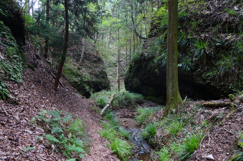 DSC08004