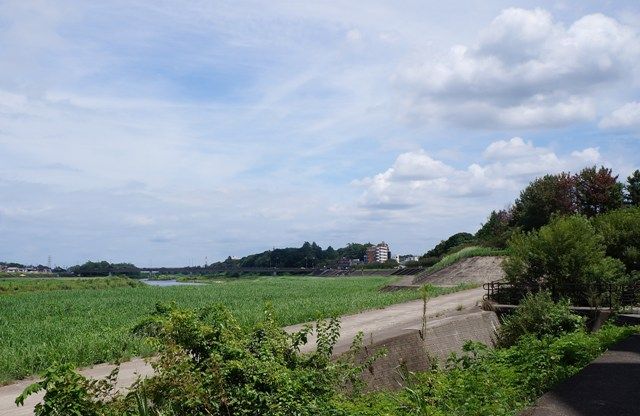 イメージ 14