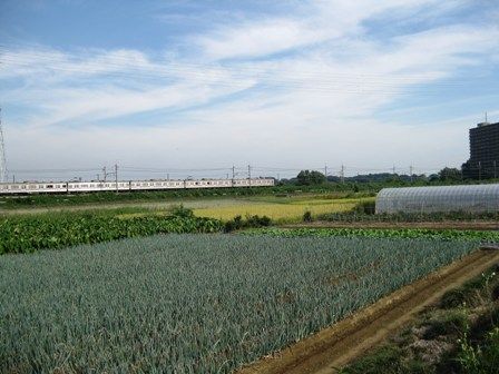 イメージ 12