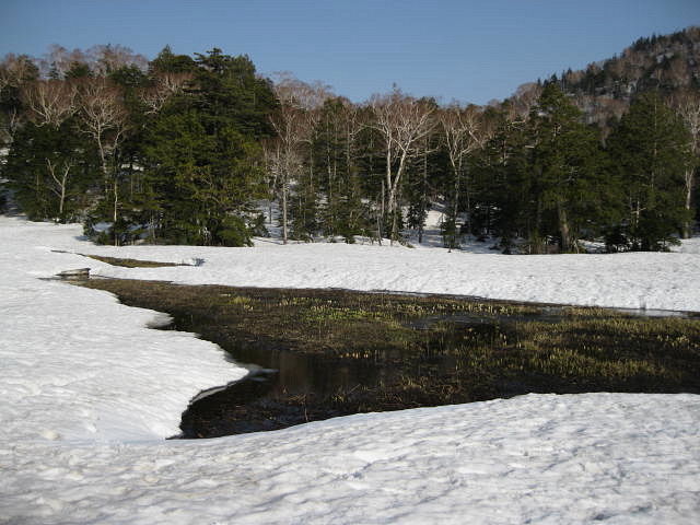 イメージ 14