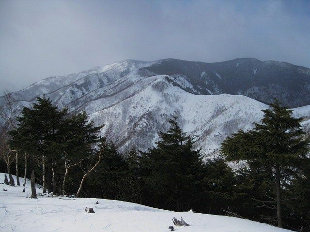 イメージ 8