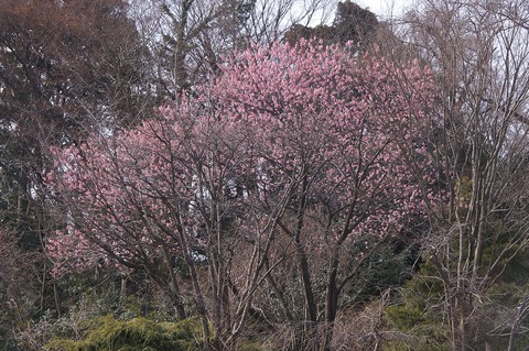 DSC03751