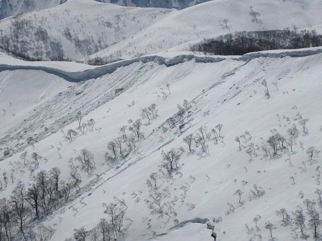 イメージ 16