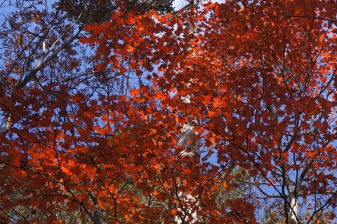DSC02734