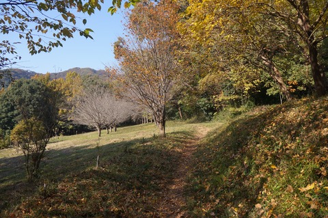 DSC04930