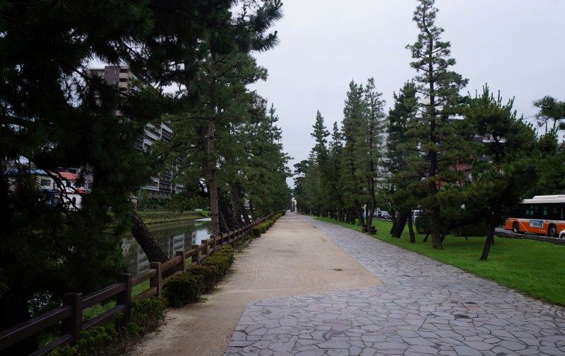 自転車に乗って不忍池・日本橋へ バテバテ山日記