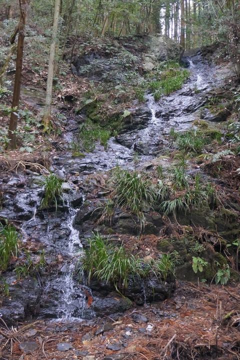 DSC00600