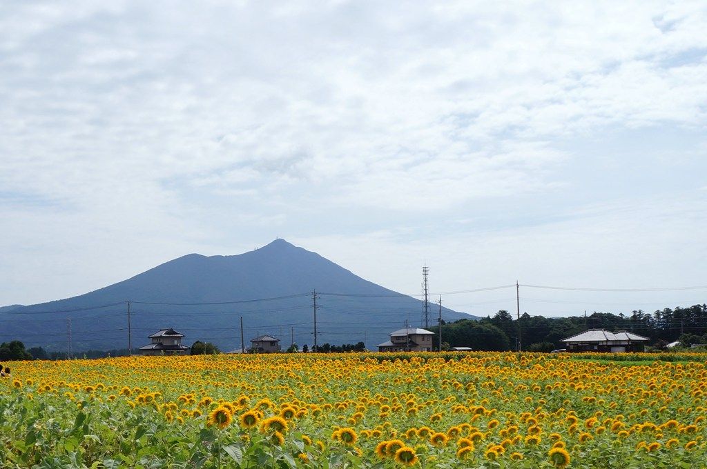 イメージ 9