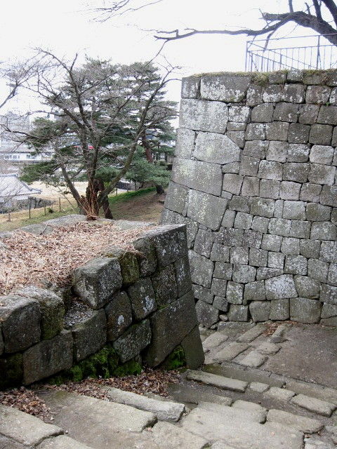 イメージ 13