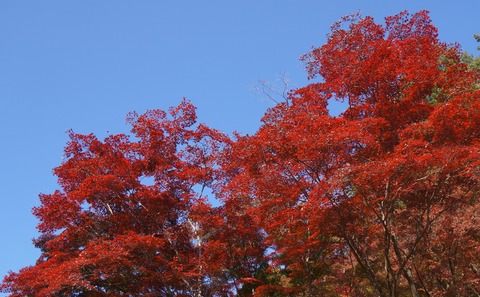 DSC02445