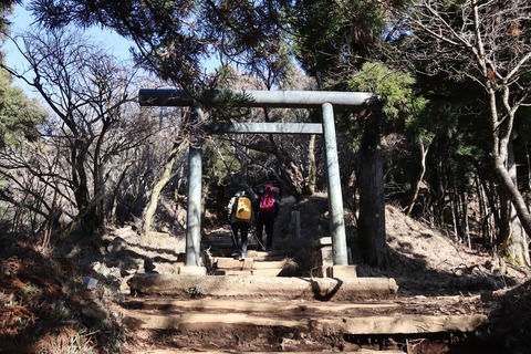 IMG_8895 - コピー