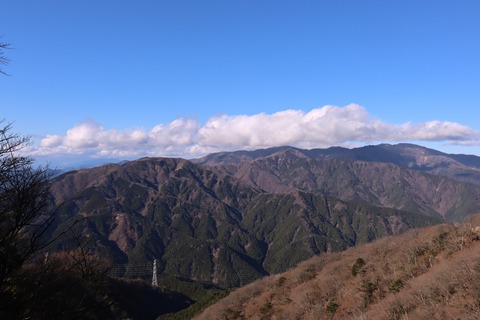 IMG_8892 - コピー