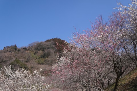 DSC00047