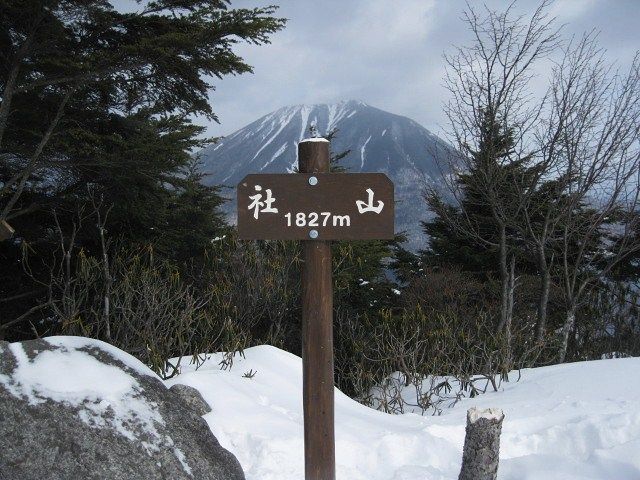 イメージ 7