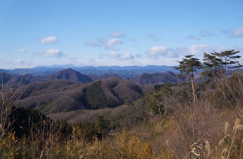 DSC05920